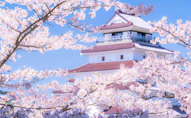 東北の桜名所に魅せられて 一度は行ってみたいお花見スポット びゅうトラベル Jr東日本