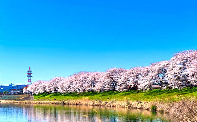 白石川