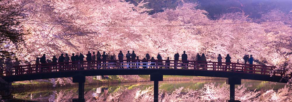 東北の桜名所に魅せられて 一度は行ってみたいお花見スポット びゅうトラベル Jr東日本