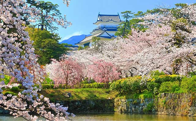 東北の桜名所に魅せられて 一度は行ってみたいお花見スポット びゅうトラベル Jr東日本