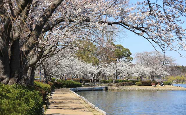 千波公園のイメージ