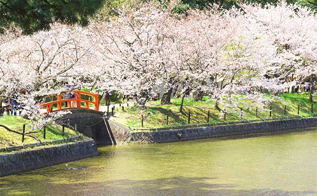 亀城公園のイメージ