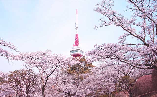 八幡山公園のイメージ