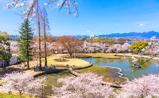 前橋公園のイメージ