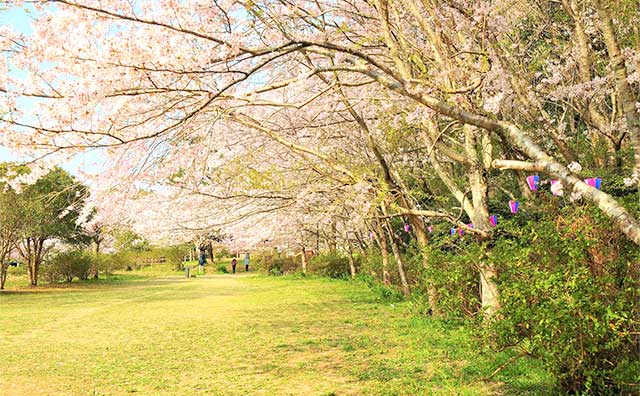 小見川城山公園のイメージ