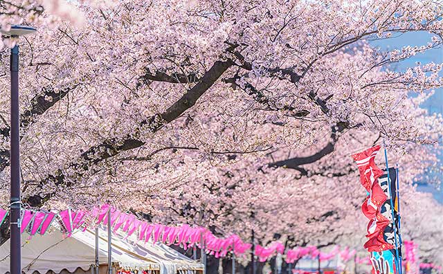 隅田公園のイメージ