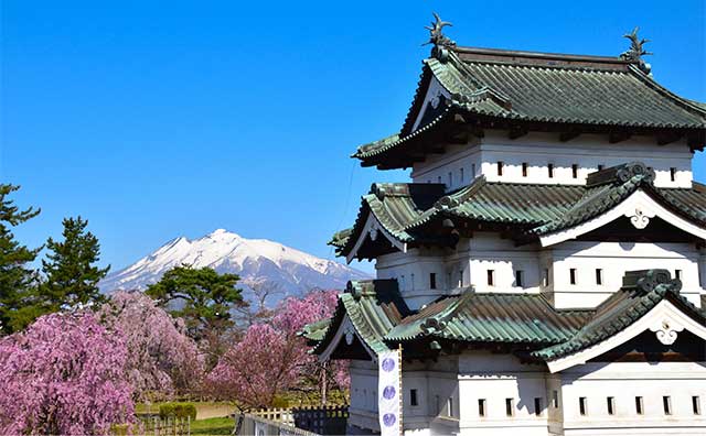 弘前城天守と桜のイメージ