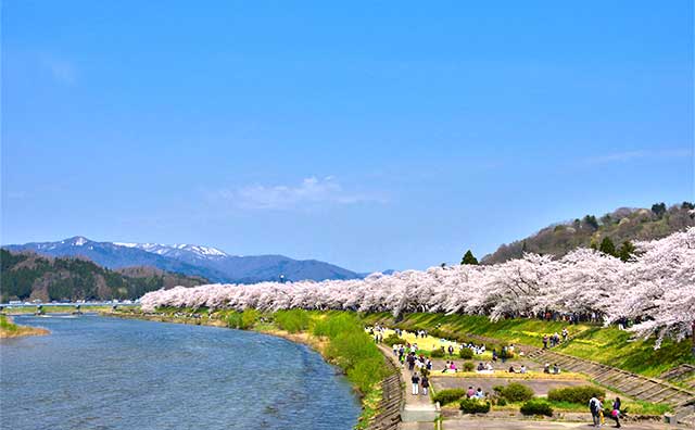 角館桜まつりはどのようなイベント？のイメージ