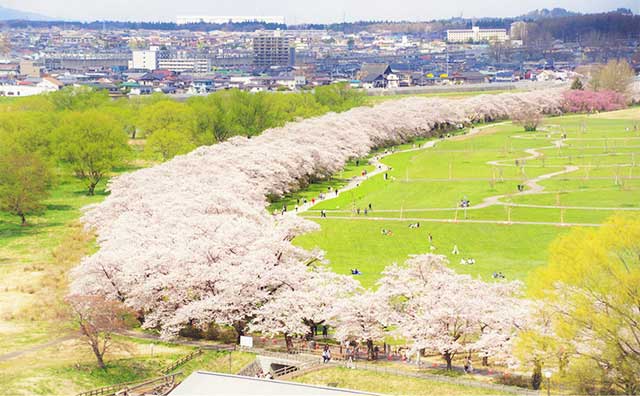 北上展勝地さくらまつりはどのようなイベント？のイメージ