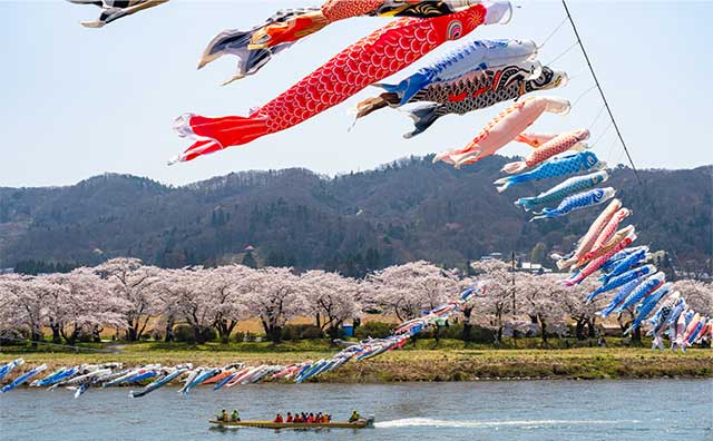 北上川のこいのぼり掲揚のイメージ