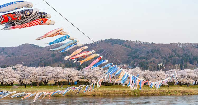 鯉ものぼる北上展勝地さくらまつり！花の便りを届ける東北新幹線のイメージ