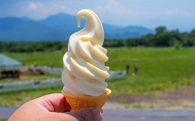 清泉寮ソフトクリーム のイメージ