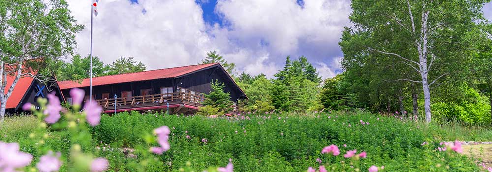 八ヶ岳の大自然を楽しもう！高原リゾート清里の観光で外せないおすすめスポットのイメージ