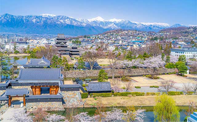 松本の基本情報のイメージ