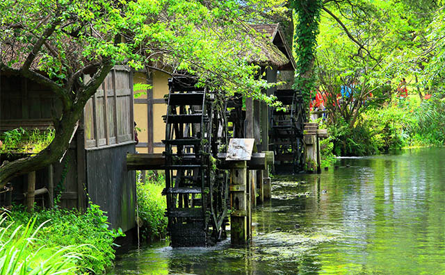 大王わさび農場