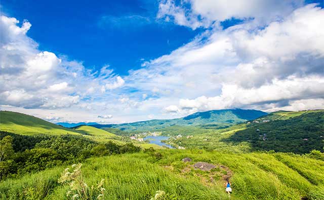 蓼科の基本情報