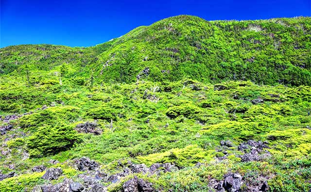 坪庭自然園