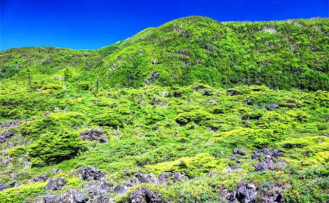 坪庭自然園のイメージ