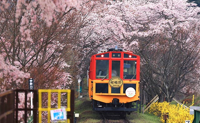 四季折々の絶景を眺めながら～レトロに楽しむ嵯峨野トロッコ列車～