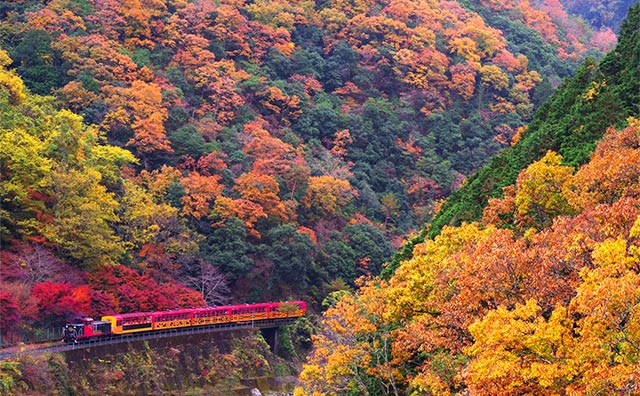 四季折々の嵯峨野トロッコ列車から見える絶景のイメージ