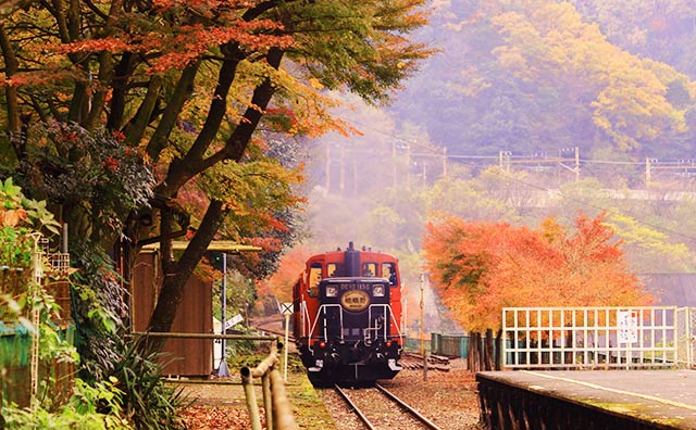 秋・冬は紅葉が美しい