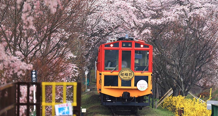 四季折々の絶景を眺めながら～レトロに楽しむ嵯峨野トロッコ列車～