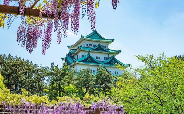 名城公園から見る名古屋城