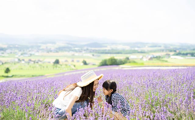 旅育でおすすめのスポットのイメージ