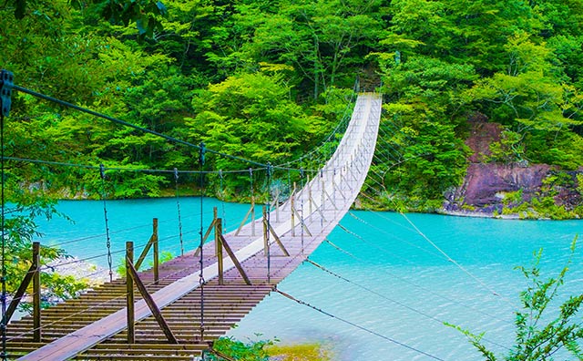 目を見張る静岡の絶景スポット！雄大な景色に会いに行こうのイメージ