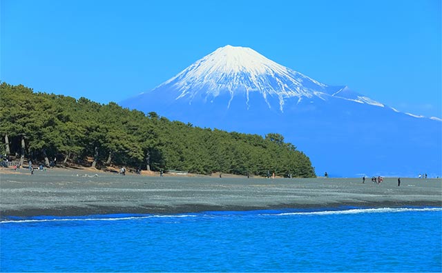 大迫力の自然を浴びる静岡の絶景の魅力のイメージ