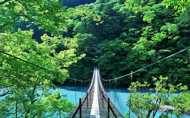 寸又峡／夢のつり橋のイメージ