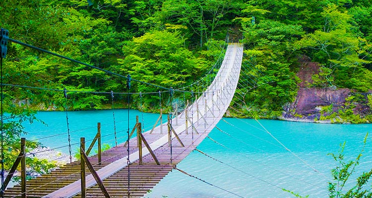 目を見張る静岡の絶景スポット！雄大な景色に会いに行こうのイメージ