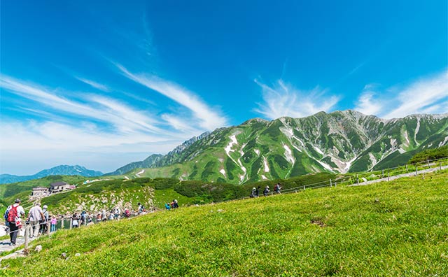 はじめての方も楽しめる立山黒部アルペンルートのイメージ