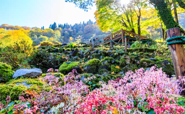 【湯沢高原アルプの里】大人もこどもも大満足な遊び場は？高原の風を感じよう！