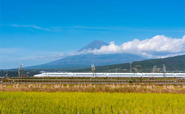 新幹線初心者さんへ解説！今さら聞けない「のぞみ」「こだま」「ひかり」の違いって？