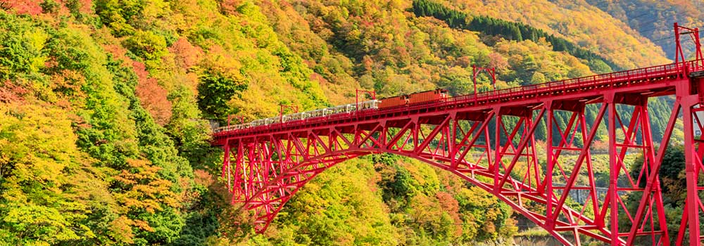 黒部峡谷トロッコ電車に乗って自然豊かなスポット巡りを！宇奈月温泉に泊まろうのイメージ