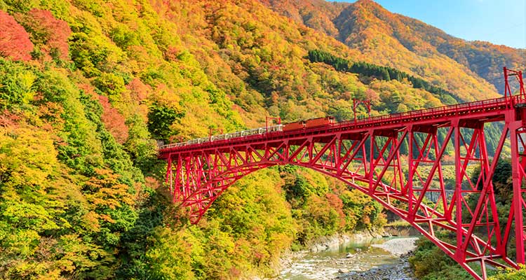 黒部峡谷トロッコ電車に乗って自然豊かなスポット巡りを！宇奈月温泉に泊まろうのイメージ