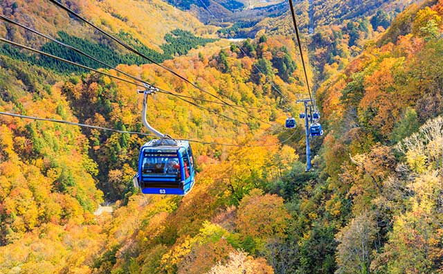 日本最長の苗場ドラゴンドラから見下ろす紅葉！絶景スポットやシーズンに最適な服装を紹介