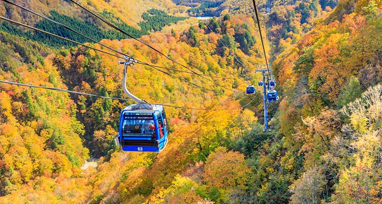 日本最長の苗場ドラゴンドラから見下ろす紅葉 絶景スポットやシーズンに最適な服装を紹介 びゅうトラベル Jr東日本