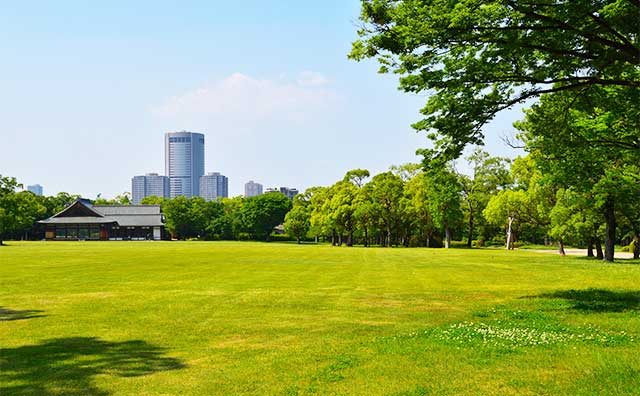 自然を感じる大阪観光スポットのイメージ