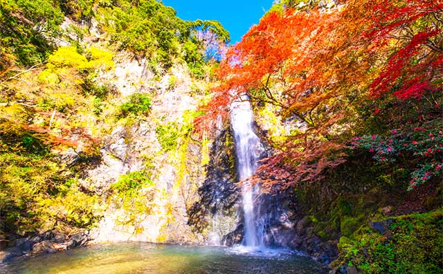 錦秋に染まる箕面の滝