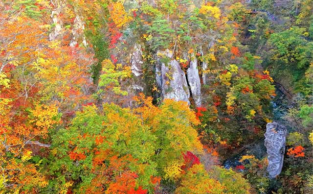 樹々が色づく秋の鳴子峡のイメージ