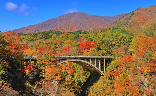 大深沢橋のイメージ