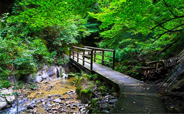 地獄谷遊歩道のイメージ