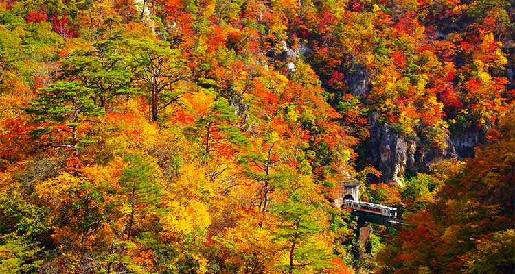 紅葉の季節は鳴子峡へ！ビュースポットや周辺の観光スポットも紹介のイメージ