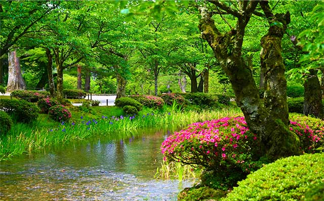 夏は植物や水辺を散歩しようのイメージ