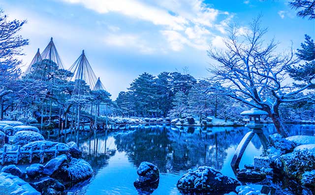 冬は雪吊りに注目しようのイメージ