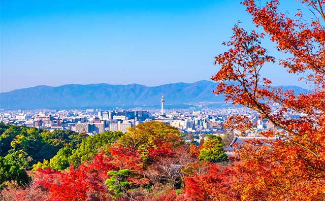 紅葉の季節に訪れたい京都のイメージ