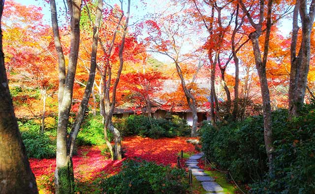 大河内山荘庭園のイメージ