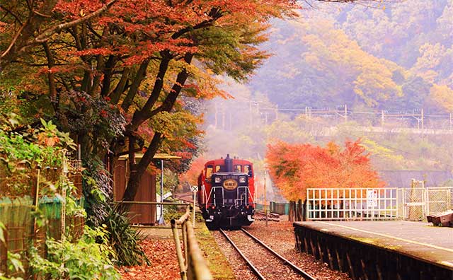 嵯峨野トロッコ列車のイメージ